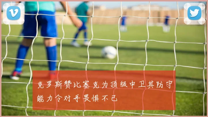 克罗斯赞比塞克为顶级中卫其防守能力令对手畏惧不已